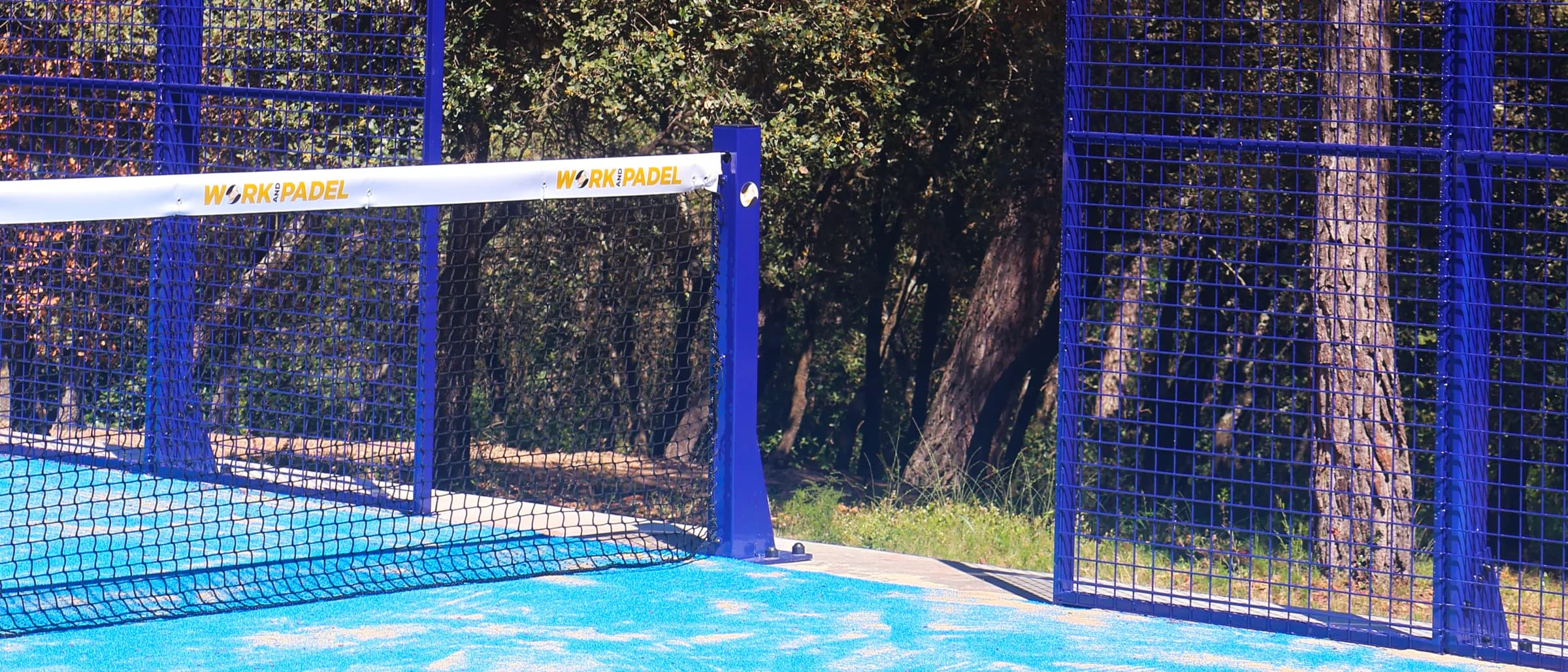 A blue-framed padel court and its net among pine trees